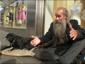 Community level animal health and welfare services